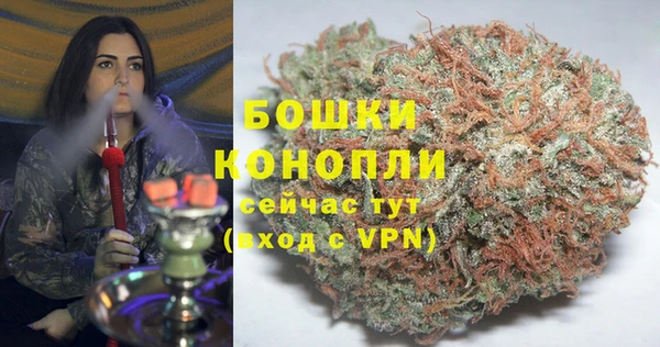 соль ск Нея