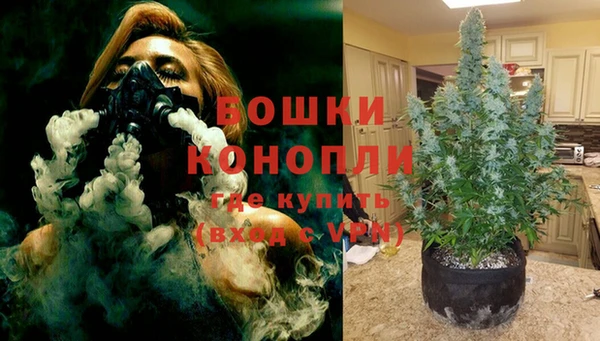 соль ск Нея