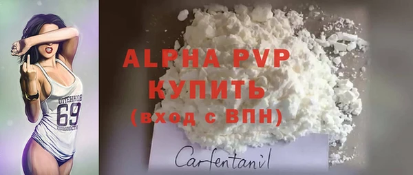 стафф Нефтегорск