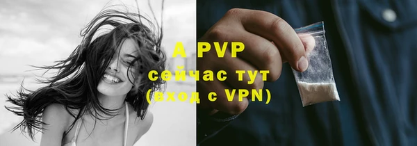 гидра Бикин