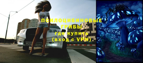стафф Нефтегорск